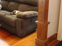 Bound Anal Fantasy 2