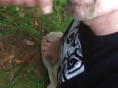 Daddy bear suck dick