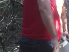 In a Neighboring Forest 1 7