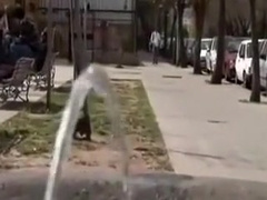 Twinks Fuck Bareback In The Kitchen