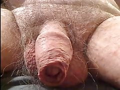 Grandpa's soft uncut cock