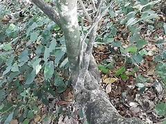 My boyfriend took me out for a fuck after plastic surgery