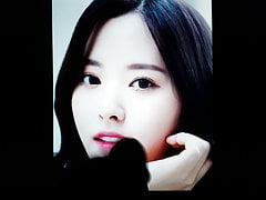 wjsn bona cum tribute