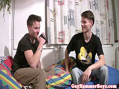 Gay cock, homosexual, suck off