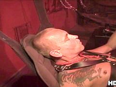 grizzlies rump fist penetrated