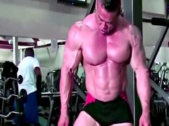 Body builders, bodybuilder