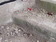 How ultra-cute to spy on the bastards who do cruising in black works