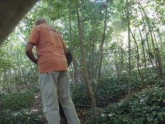 GRANDPARENTS IN THE WOODS 343