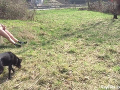 Compilation of many Movies of Public Orgy in Parks