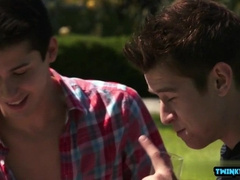 Watch these hot twinks take it up the ass and get a cumshot