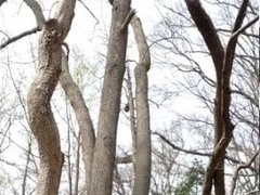 Exhibitionist stroking in the forest, wanking-off outside