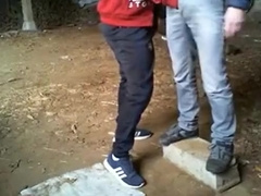 Transando na floresta