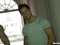 Euro Muscle Studs