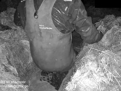 Close-up of gay guys getting off together