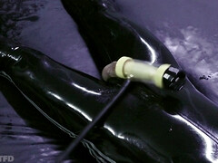 Rubber extraction asylum