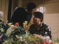 Les Minets Sauvages II