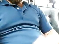 Handsome bear bus wanking