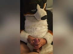 Lewdmindedlynx Helps Angrybarks Through His Rut Week Cums Inside And On His Feet Paws