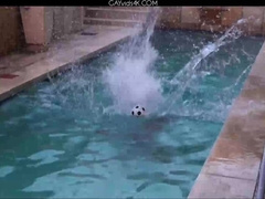 Ariel Vanean Kevin Warhol Jean Daniel Chagall And Phillipe