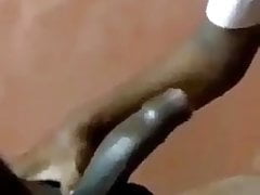 Sri lankan cock sucker