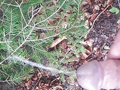 Outdoor piss 2