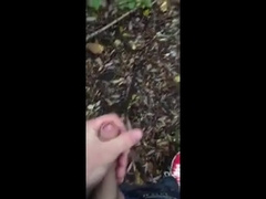 youthful is penetrated in public by elder