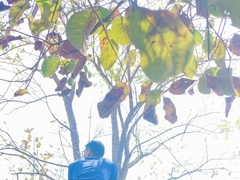 Panjabi Muslim guys bare in public