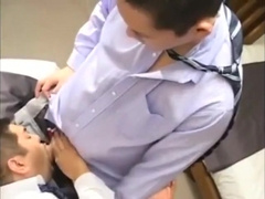 Japanese sex bear
