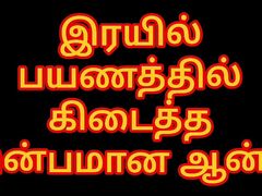 A delightful aunt on a train journey Tamil Story