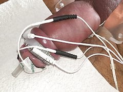 Pumped cock and heavily electrostimulated glans cums loads