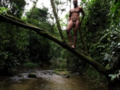 Bare Walk in The Woods