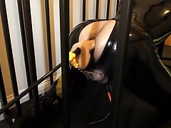castle anal bound