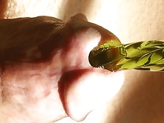 Green Spiral Glass Sound
