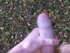 Getting Off in a Public Forest