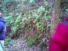 Amateur Asian not daddies outdoors 4