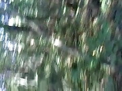 naked in the wood