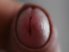 Penis close up