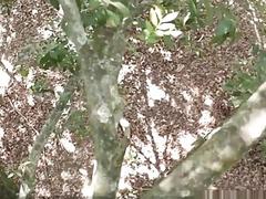 Hot black guys have a tribal fuck in the forest