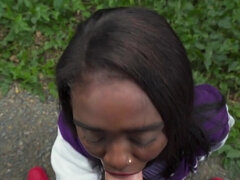 Grote kont, Grote lul, Grote mammen, Hondjeshouding, Hardcore, Hd, Interraciaal, Buiten