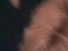 Passion in Venice (1998) Anita Blond