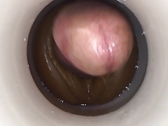 Геи