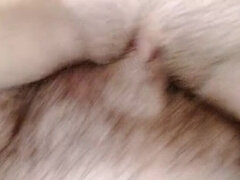 Grosser kitzler, Bruder, Behaart, Hd, Orgasmus, Penis, Sperma, Eng