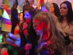 Leie, Schwarz, Blasen, Schwanz, Handjob, Natürlichen titten, Orgie, Party