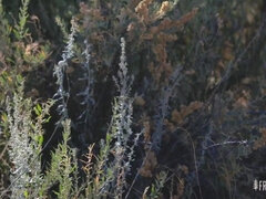 Enthousiasteling, Kont, Masturbatie, Moeder die ik wil neuken, Kut duiken, Spion, Tieten likken, Nat