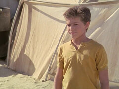 Beroemdheid, Softcore pornografie