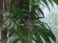 Красивые, За кадром, Брюнетки, Черненькие, Каблуки, Мастурбация, Пирсинг, Юбки