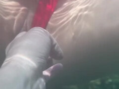 素人, お尻, デカ尻, デブ, 日本人, ラティーナ, ティーン, 水中