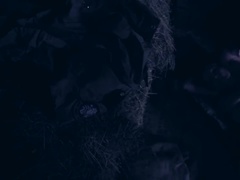 Anaal, Pijpbeurt, Bruinharig, Sperma in mond, Hardcore, Tiener, Trio, Speelgoed