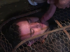 Muscular man is tied up and caged by a sadistic pervert