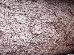 Sexy hairy legs and boll